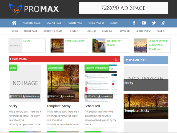 Template Promax