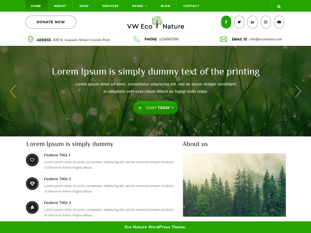 Template VW Eco Nature